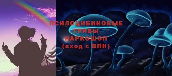 ешки Бронницы