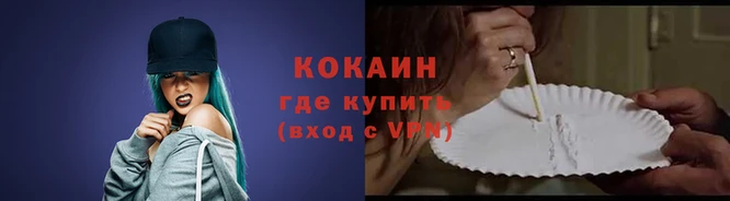 стаф Богданович