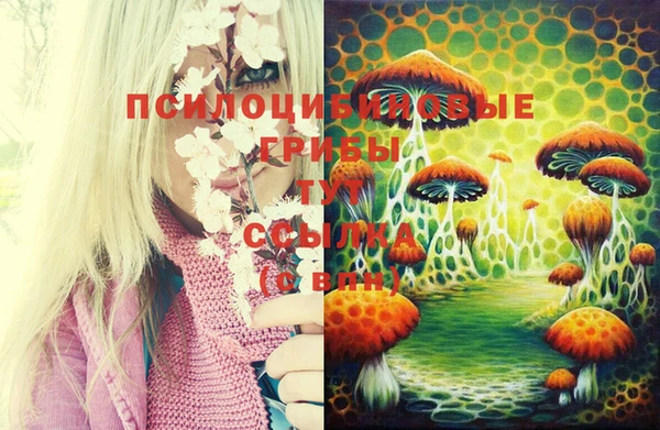 гашик Бородино