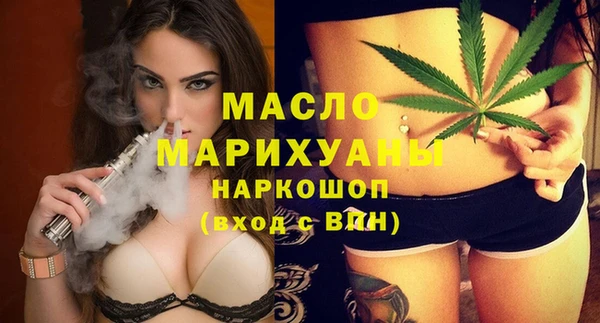гашик Бородино