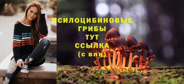 мефедрон Богородицк