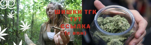 стаф Богданович